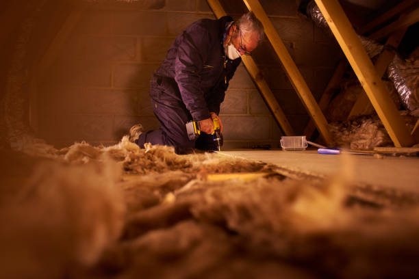 Best Cellulose Insulation in Orinda, CA